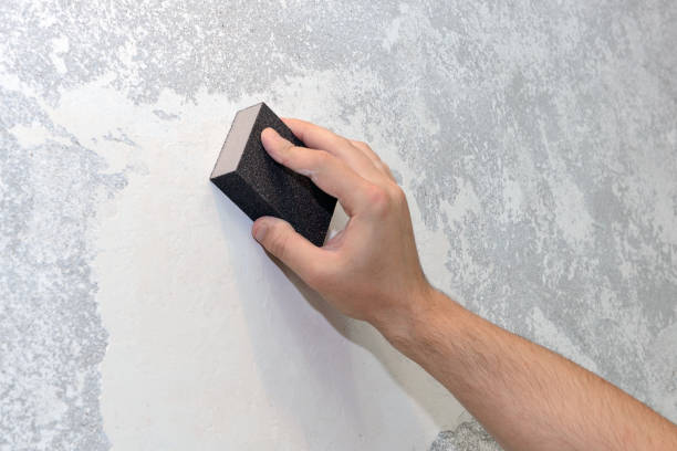 Best Mold-Related Health Consultation  in Bowling Green, KY
