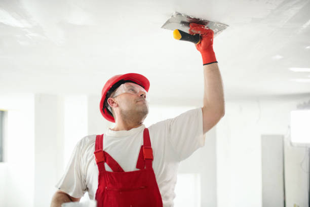 Best Attic Mold Removal  in Bowling Green, KY