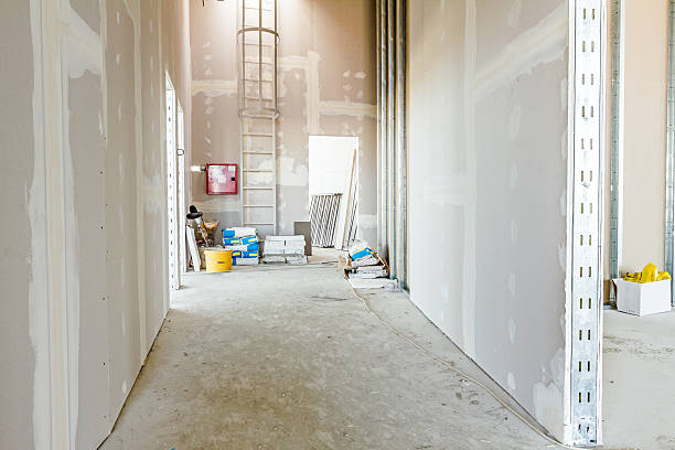 Best Mold Removal for HVAC Installations  in Bowling Green, KY