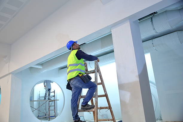 Best Basement Mold Removal  in Bowling Green, KY